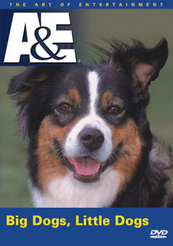 DVD Big Dogs, Little Dogs Book