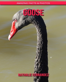 Goose: Amazing Facts & Photos