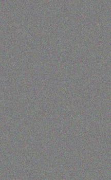 Paperback Tabernaculo En El Desierto / the Tabernacle in the Wilderness [Spanish] Book