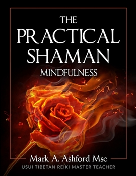 Paperback The Practical Shaman - Mindfulness Book