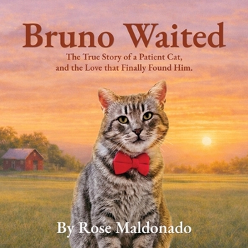 Paperback Bruno Waited Book