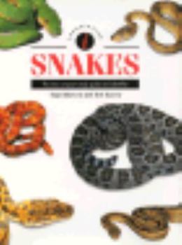 Hardcover Identifying Snakes Book