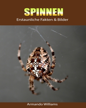 Paperback Spinnen: Erstaunliche Fakten & Bilder [German] Book