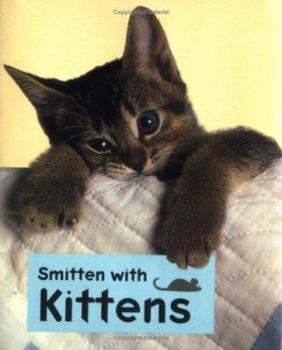 Hardcover Smitten with Kittens Book