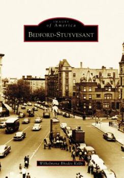 Bedford-Stuyvesant - Book  of the Images of America: New York