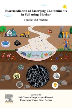 Paperback Bioremediation of Emerging Contaminants in Soil Using Biochar: Theories and Practices Book