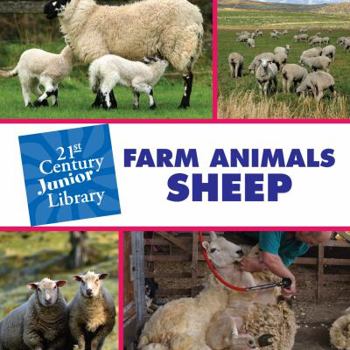 Library Binding Farm Animals: Sheep Book