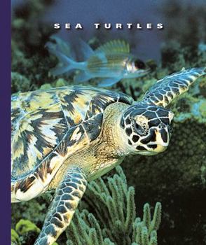 Library Binding Sea Turtles Book