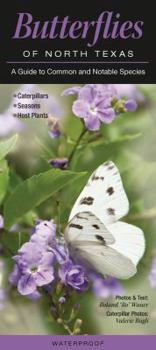 Pamphlet Butterflies of North Texas: A Guide to Common & Notable Species Book