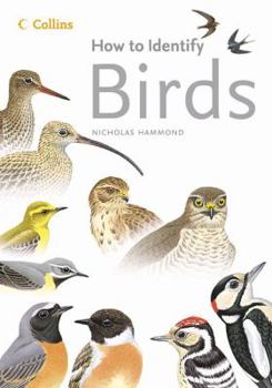 Paperback How to Identify Birds Book