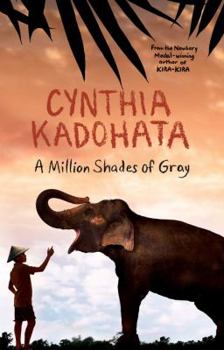 Hardcover A Million Shades of Gray Book