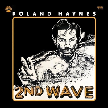 Vinyl Second Wave (Remastered Vinyl Edition) Book