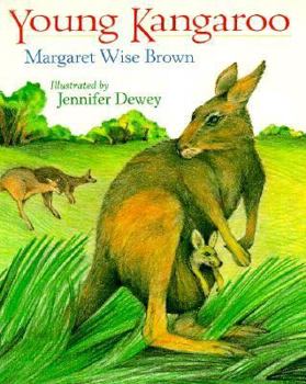 Hardcover Young Kangaroo Book