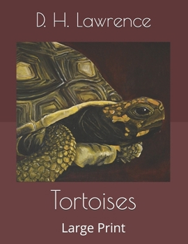 Paperback Tortoises: Large Print Book