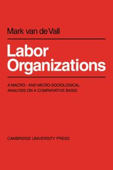 Paperback Labor Organisations: A Macro- And Micro-Sociological Analysis on a Comparative Basis Book