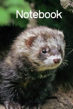 Paperback Notebook: Ferret Notebook; I love Ferrets; Ferrets are the best; Cute animal notebook; 6x9inch with 108-wide lined pages (Matte) Book