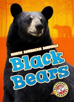 Black Bears - Book  of the North American Animals