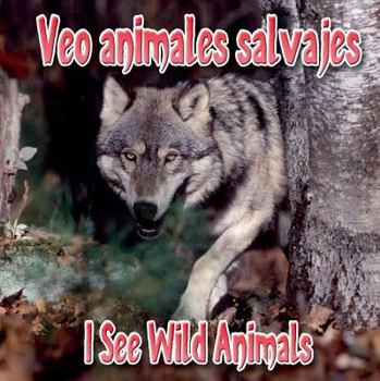 Board book Veo Animales Salvajes: I See Wild Animals [Spanish] Book