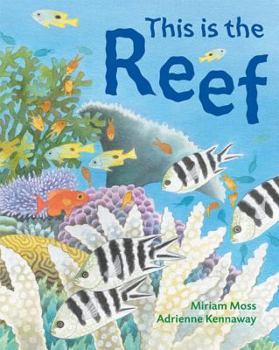 Hardcover This Is the Reef Book