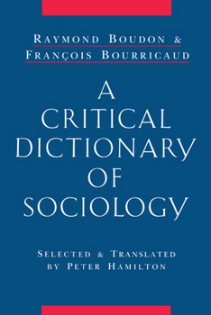 Hardcover A Critical Dictionary of Sociology Book