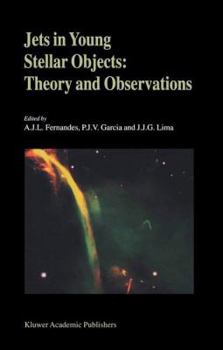 Paperback Jets in Young Stellar Objects: Theory and Observations Book