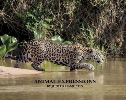 Paperback Animal Expressions Book