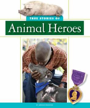 Library Binding True Stories of Animal Heroes Book