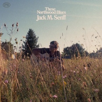 Vinyl These Northwood Blues Book