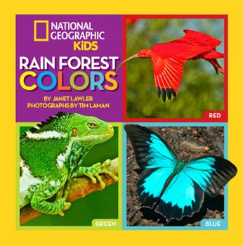 Hardcover Rain Forest Colors Book