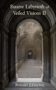 Hardcover Bizarre Labyrinth of Veiled Visions II Book