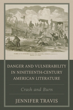 Paperback Danger and Vulnerability in Nineteenth-century American Literature: Crash and Burn Book