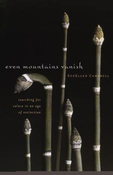 Paperback Even Mountains Vanish Book