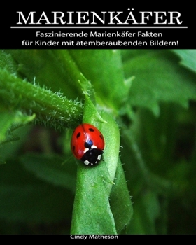 Marienk�fer: Faszinierende Marienk�fer Fakten f�r Kinder mit atemberaubenden Bildern!