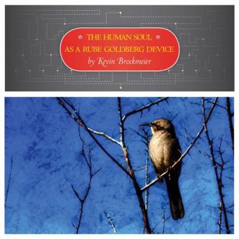 Paperback The Human Soul As A Rube Goldberg Device Book