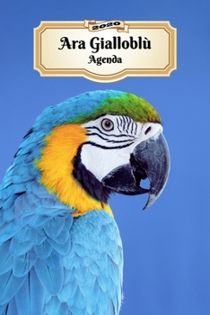 2020 Ara Gialloblù Agenda: 107 Pagine | Dimensioni DIN A5 | Pianificatore Settimanale | 12 Mesi | Due Pagine Per Settimana | Calendario | Diario | Uccello (Italian Edition)