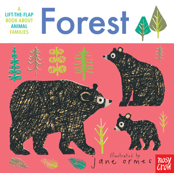 Animal Families: Forest - Book  of the Animal Families