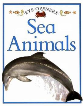 Hardcover Sea Animals Book