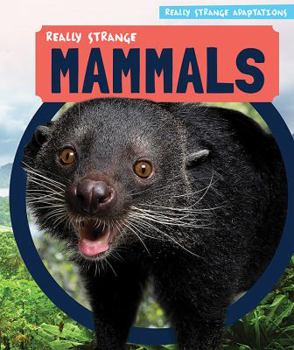 Library Binding Really Strange Mammals Book