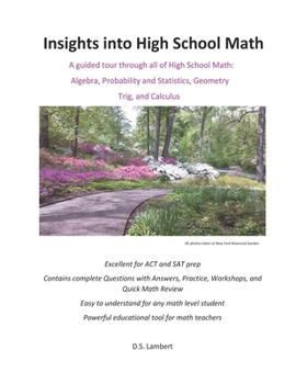 Insights into High School Math: Contains questions with answers, workshops, and review