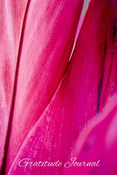 Paperback Gratitude Journal: Pink Petals Design - A notebook to record all of the things you are grateful for, 6 x 9 100 pages Book