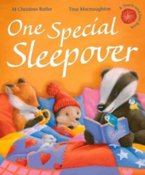 One Special Sleepover - Book #8 of the Little Hedgehog