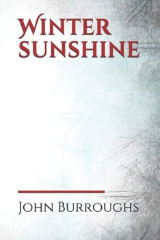 Winter sunshine