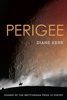 Paperback Perigee Book