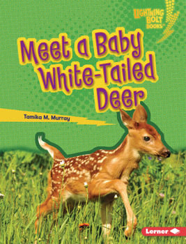 Library Binding Meet a Baby White-Tailed Deer Book