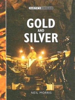 Library Binding Gold and Silver Book