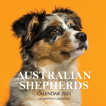 Paperback Australian Shepherds Calendar 2021: 16 Month Calendar Book