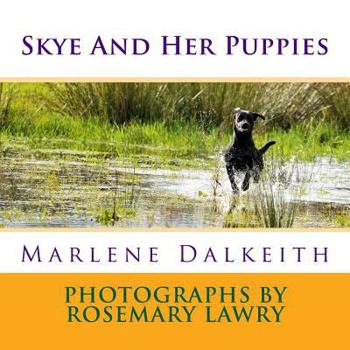 Paperback Skye And Her Puppies Book