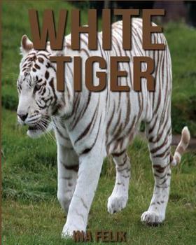 White Tiger: Children Book of Fun Facts & Amazing Photos on Animals in Nature - A Wonderful White Tiger Book for Kids aged 3-7