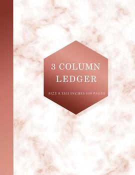 Paperback 3 Column Ledger: Ledger Book for Bookkeeping, Accounting Ledger Notebook, Bookkeeping Record Book, Accounting Ledger for Small Business Book