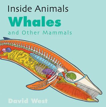 Library Binding Whales and Other Mammals Book